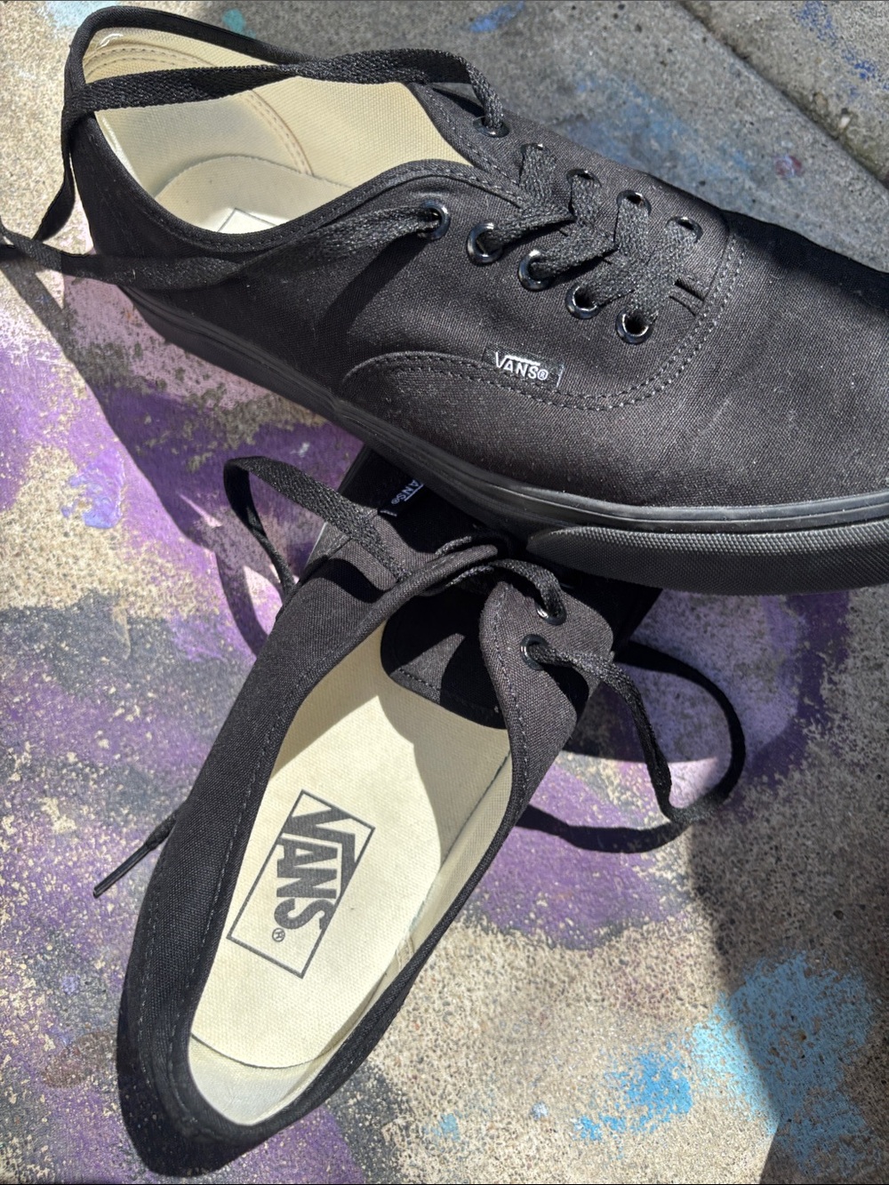 Vans Black Canvas Low-Top Sneaker - Picture 5 of 5